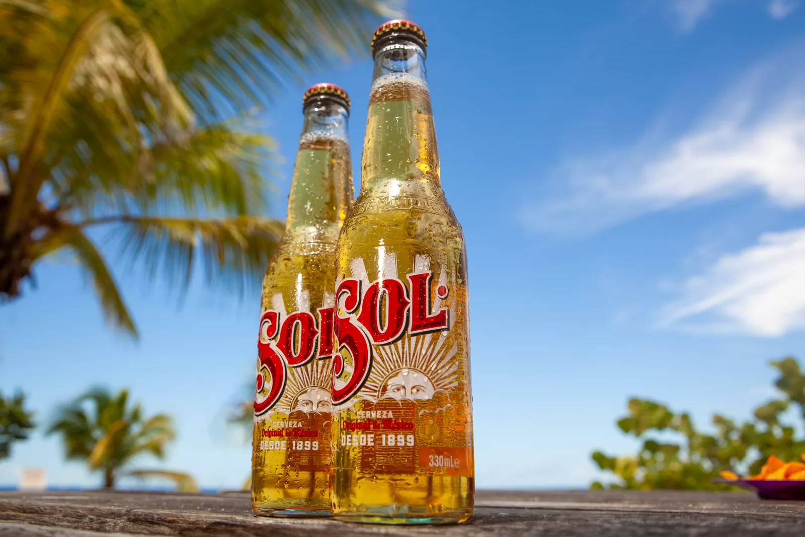 Bouteilles Sol devant les palmiers