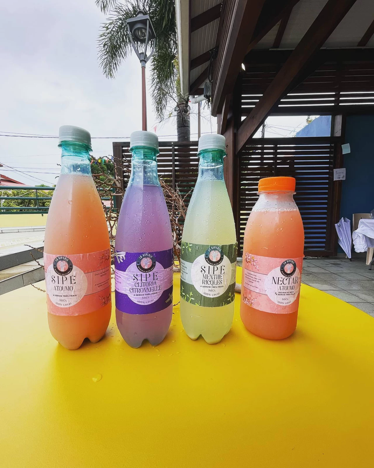 Avant — dégustation Sipé